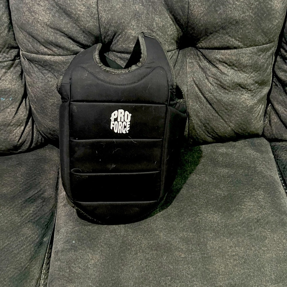 TKD RIB Guard
